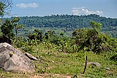 Kbal Spean, jungle landscapes along the path on the Kulen hills leading to the river 